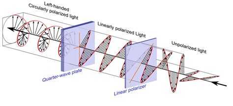 polarizer function